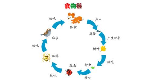 食物链