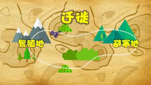  鸟类的迁徙
