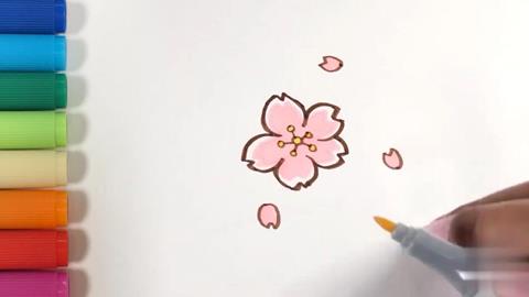 樱花