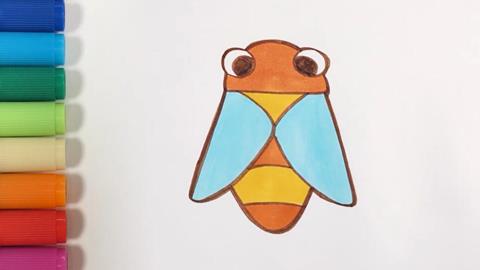 蝉