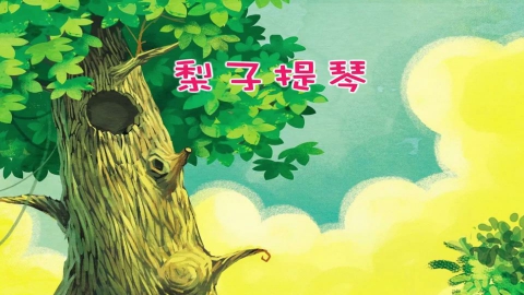 梨子提琴
