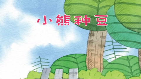 小熊种豆