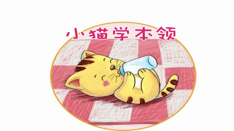 小猫学本领