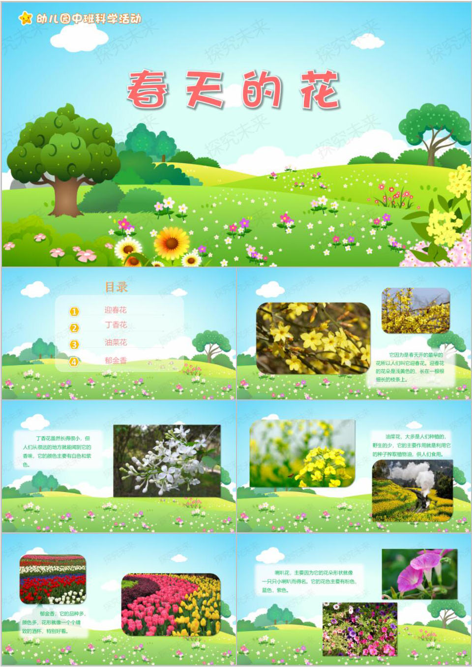 科学-春天的花