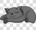 小猫睡觉，呼噜噜