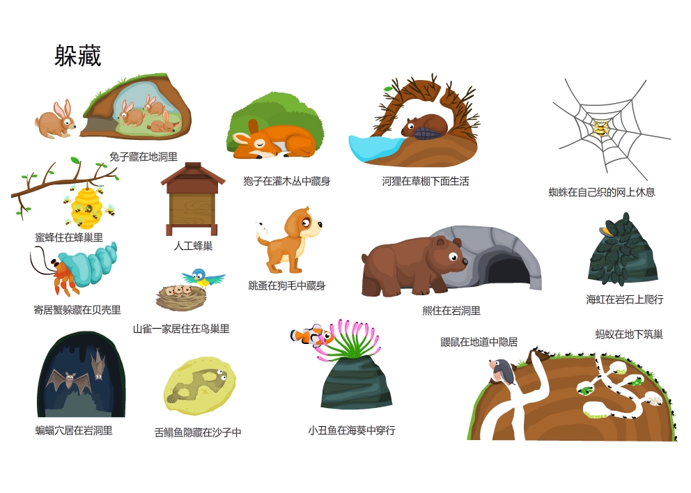 躲藏