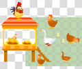 鸡舍