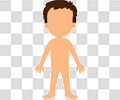 人体