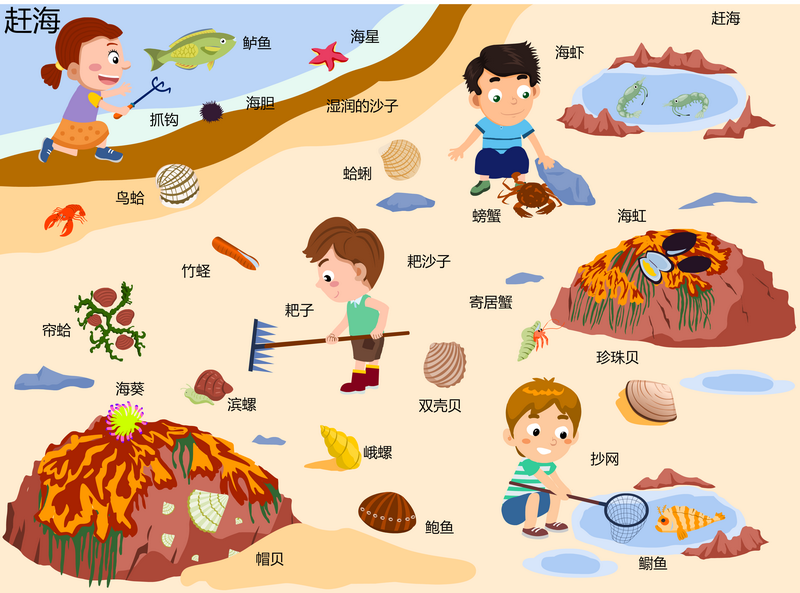 赶海