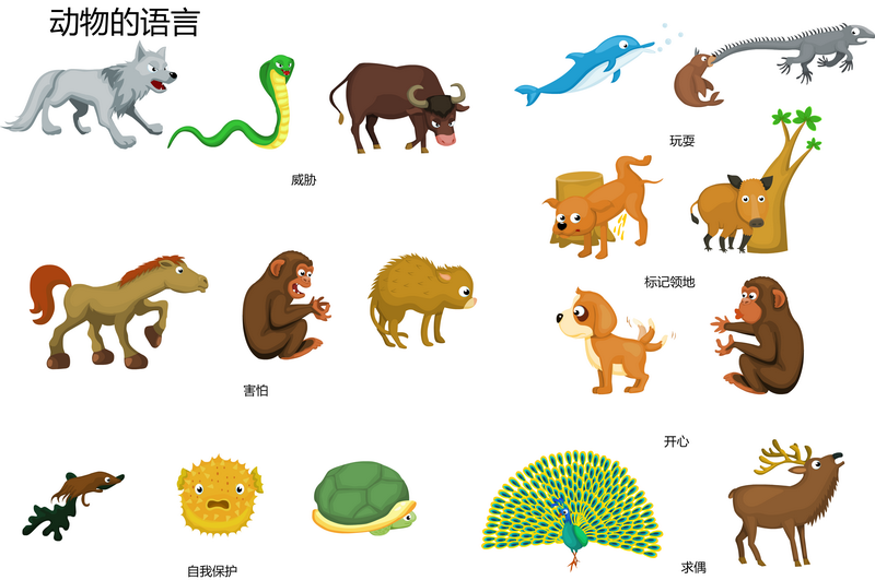 动物的语言