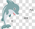 海豚