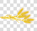 麦穗