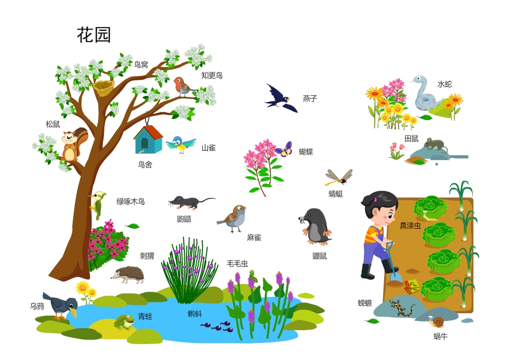 花园
