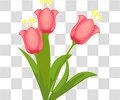 鲜花