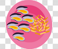 一盘海虹和薯条