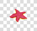 海星