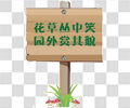 爱护花草