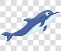 海豚