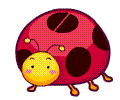 瓢虫