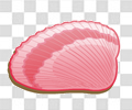 贝壳