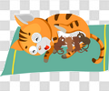 猫和小猫
