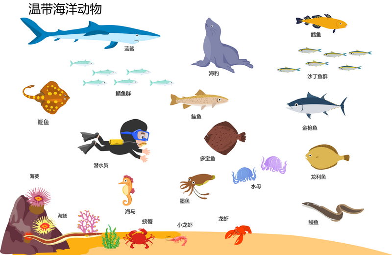 温带海洋动物