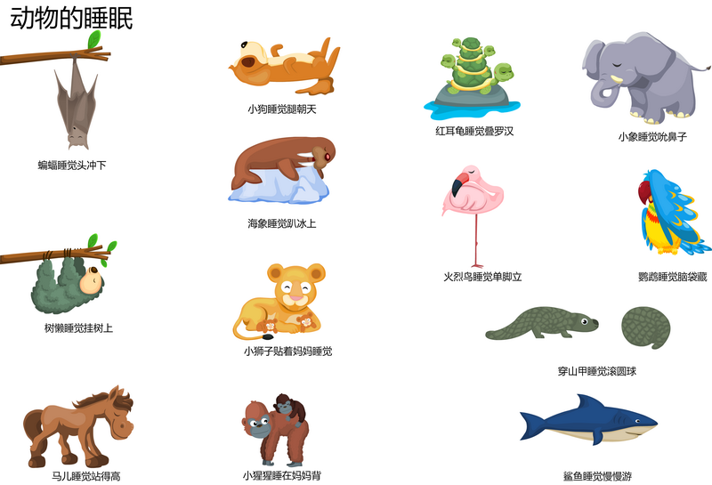 睡觉