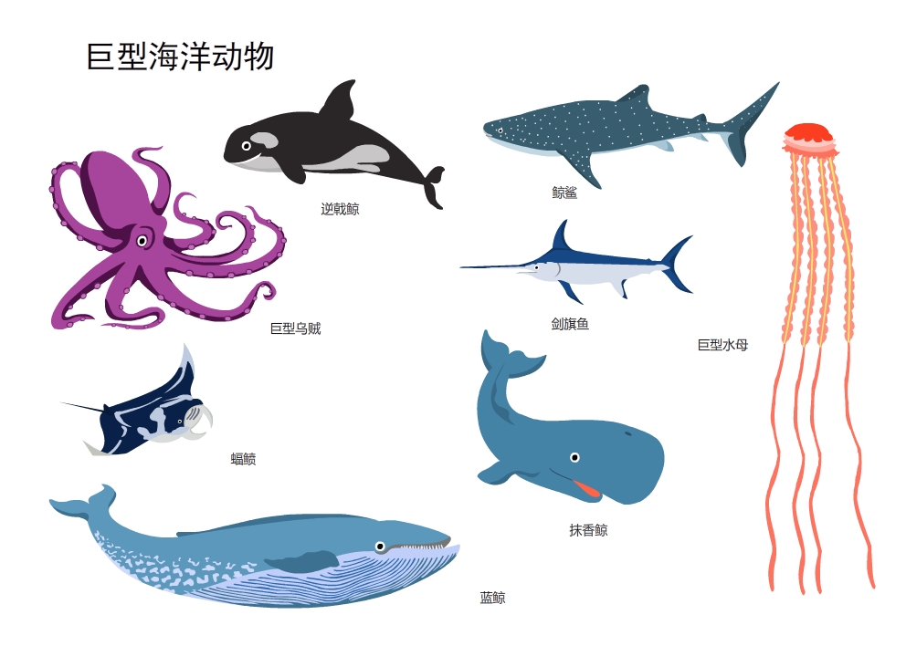 巨型海洋动物