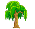 柳树