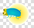 萤火虫