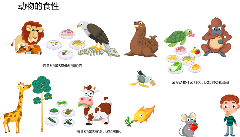 动物的食性
