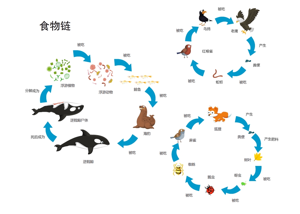 食物链