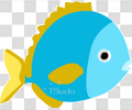刺尾鱼