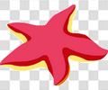海星