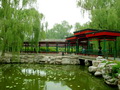 公园